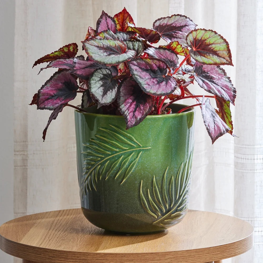 8 Inch Ceramic Planter with Drainage Hole  for Indoor Plants
