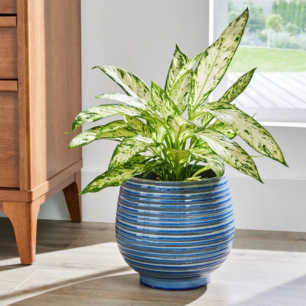 Ceramic Lynlee Planter 10 Inch Round Pot with Drainage Holes Weather Resistant Decorative Container Indoor Outdoor Plants